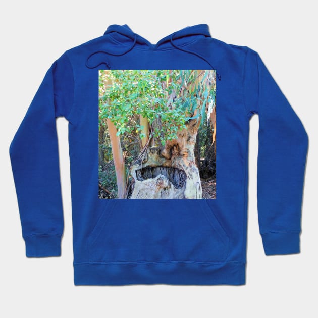 In the name of Jeffery McCain Hoodie by FriendlyComputerHelp